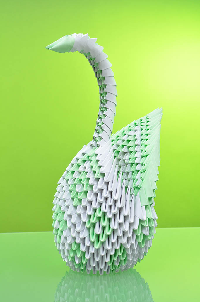Shutterstock swan